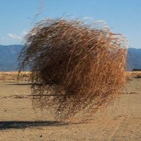 Alfonso Alcolea 🇪🇺 (@alfonsoalcolea) 's Twitter Profile