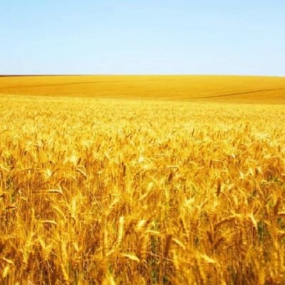 XmaskAle55868's profile picture. 探索新世界