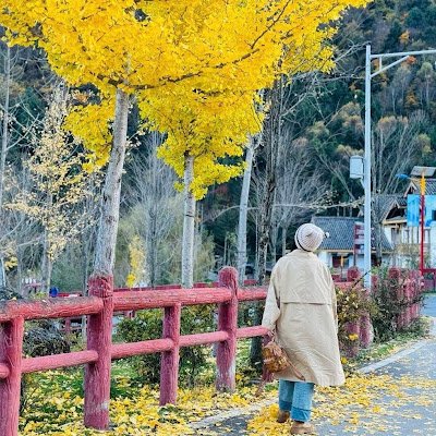 Elizabeth66851's profile picture. Digital identity builder educating crypto enthusiasts