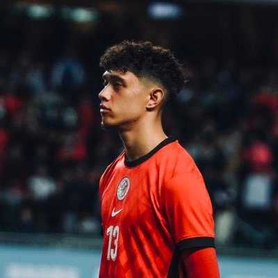 raphael_merkies's profile picture. Professional Footballer