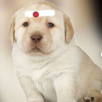 Raja VJ ッ (@rajavjoff) 's Twitter Profile Photo