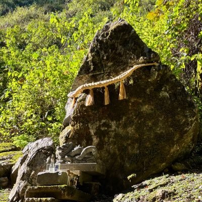 XgBuqnRJ5n30598's profile picture. 