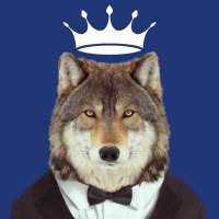 Made In Crypto (@alexpaz0x) 's Twitter Profile