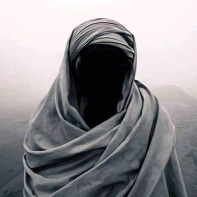 musolli642's profile picture. 