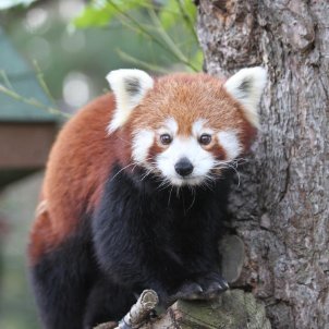 Beatlesleef's profile picture. memes trader