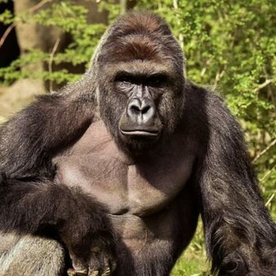 女性をオーガズムに導くのが好きです。42歳、185㌢78㌔ 責め好き。#ポルチオ#膣奥アクメ
別アカ @ikeoji_mitsu
密会フォーム⇛https://t.co/tskcvJIqgs