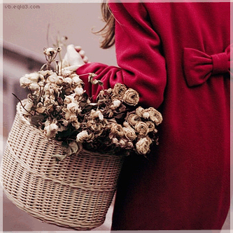 Hessa_A11's profile picture. 