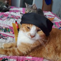 Sharon (@floweredog) 's Twitter Profile