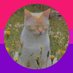 ApfelTeeSaft 🏳️🌈🏳️⚧️ (@safttee) Twitter profile photo ApfelTeeSaft 🏳️🌈🏳️⚧️ (@safttee) Twitter profile photo