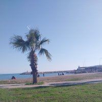 Fatma (@mustafaelc72459) 's Twitter Profile
