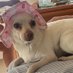 carmen (@carmenzab_) Twitter profile photo carmen (@carmenzab_) Twitter profile photo