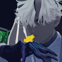 イオ(io) (@iofrog_vr) 's Twitter Profile