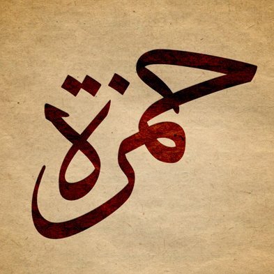 HarunorHamza's profile picture. أسد من أسود الله