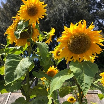 Itslalakskyy's profile picture. 