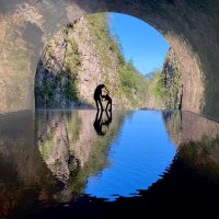 どう (@dodo_4me) 's Twitter Profile