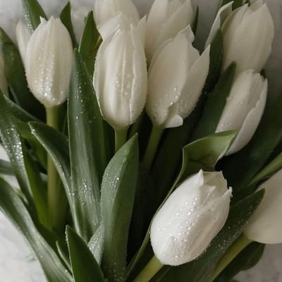 Rana101411's profile picture. 