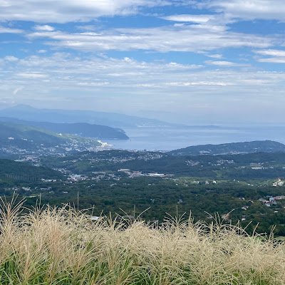 D1JGPfxSc680803's profile picture. 