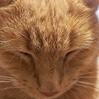 Livingthelife (@liviman2) 's Twitter Profile