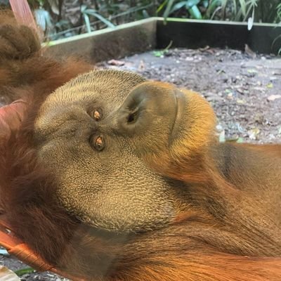 ultrabot09's profile picture. 