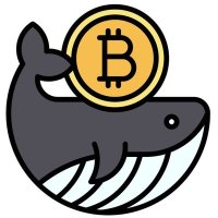 YakiBianco.eth (@yakibianco16935) Twitter profile photo