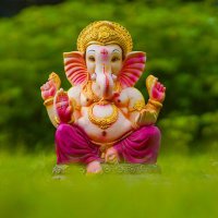 Pankaj Maurya (@maurayapan16484) 's Twitter Profile Photo