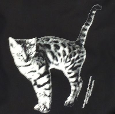 くれねこさんのプロフィール画像
