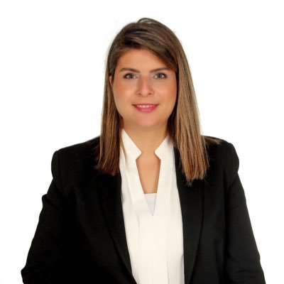 Mali Müşavir/Danışman İK/HR Kurucu MÜSİAD Sakarya Kadın Başkanı IPARD Proje Danışmanı SMMMO Eğitmen Yönetim Dan.Der.Üye
