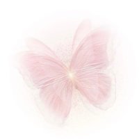 عـبـيـر حـجـازي✤ (@ab_33h) 's Twitter Profile