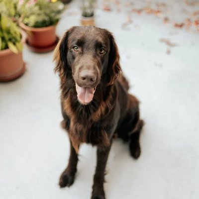 Homere416243's profile picture. 