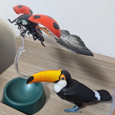 CD🐞🌱さんのプロフィール画像