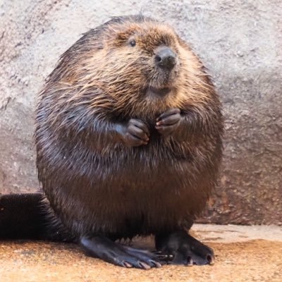 mugi88342351490's profile picture. ハイキング🥾