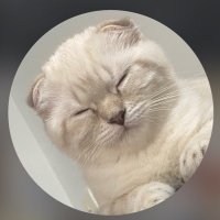 Baby Sun Flower (@sugarca77439467) 's Twitter Profile