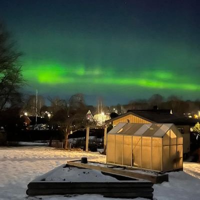 DrBerfin3362r's profile picture. İlim ve sanat ittifak görmediği ülkeyi terk eder ibni Sina Doktor adayı ❤️✌️