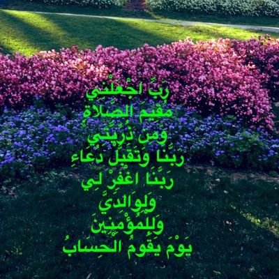 ✴إنـك إن تنقـل الحجـارة مـع الأبـرار ✴
✴ خيـر لك من أن تأكـل الحلوى مع الفجار✴