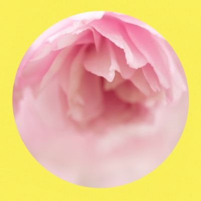 みい。さんのプロフィール画像