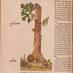 Pre-Modern Fungi Experience (@fungipremodern) Twitter profile photo Pre-Modern Fungi Experience (@fungipremodern) Twitter profile photo