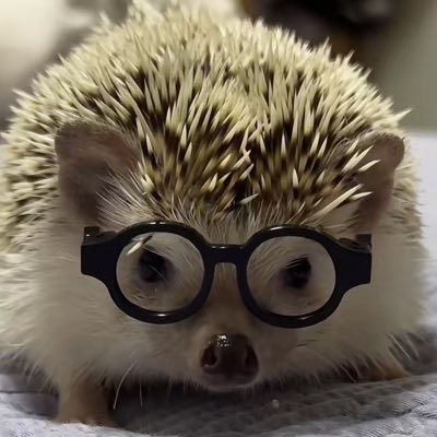 Sekyiieun Profile Picture