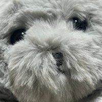 前転 (@wawa_muri4) 's Twitter Profile