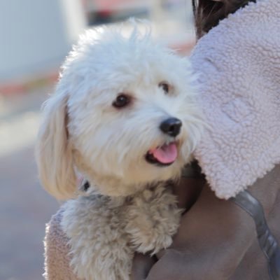 yon_designer's profile picture. 1999生まれ| 制作会社で働くwebデザイナー  | グラフィックやイラストも描く| デザイナーさんと繋がりたい | UIUXの勉強中🔥 |