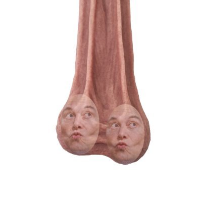 HARRY BÕLZ BIGGER DANGLIER BROTHER DAN GLEEBÕLZ.