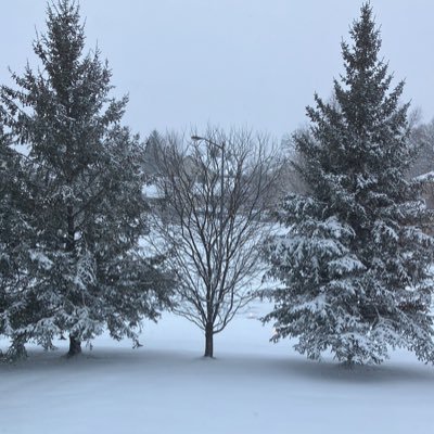 Jenny8675399's profile picture. Proud Patriot! Follower of Jesus. TRUMP/VANCE2024 🇺🇸 🇮🇱DM me and you’re blocked. Talking to you, stupid