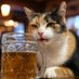 びぃる猫💘Beer cat'sᓚᘏᗢ🍺🐱週末カメラ猫🌸 (@beer_cats_photo) Twitter profile photo びぃる猫💘Beer cat'sᓚᘏᗢ🍺🐱週末カメラ猫🌸 (@beer_cats_photo) Twitter profile photo