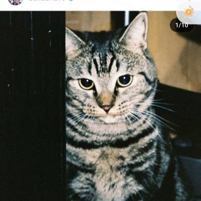 HMinh_04's profile picture. We'll meet again 💙