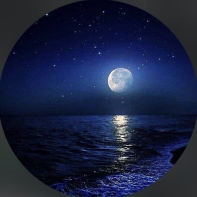 quality in veins… jai shree Krishna 🙏|| no gc please! main id @prizzzedagarwal do follow