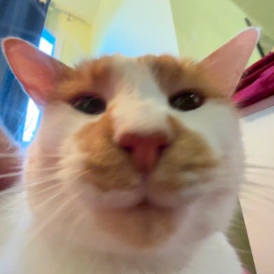 Woah! Mungus Profile