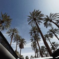 S (@7oiou) 's Twitter Profile Photo