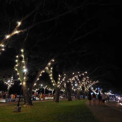 McAlter09's profile picture. Curious Lang | horny | jakolero