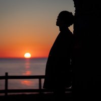 お刺身 (@osashimi_jpn) 's Twitter Profile Photo