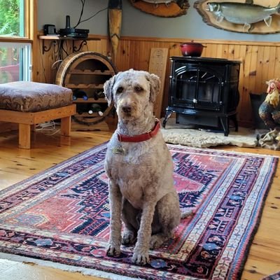 HarveyMagee1's profile picture. Angel Harvey's mom