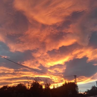 marii922's profile picture. -No te rindas ante nada,por que no hay batallas perdidas,sino guerras ganadas